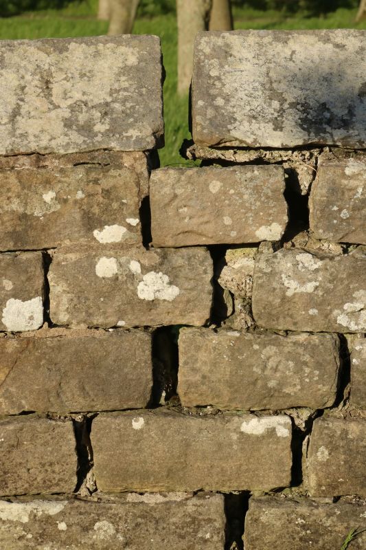 Stone Wall Repair in Vero Beach, FL